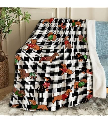 Corgi - Coperta in flanella super morbida, per divano, letto, campeggio