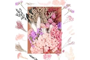 JIEYUCHU Flores Secas Decoracion, Flores Preservadas Naturales, Flores Secas Manualidades, Hecho de Flores Reales, para Manualidades DIY Resina Albumes de Recortes Invitaciones de Boda