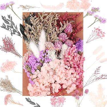 Gedroogde Bloemen Set - Cozy Design