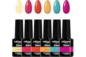 MEANAIL Paris - Marque française - Coffret Manucure - Vernis Semi-Permanent - 6 Vernis à Ongles - Compatibles Lampe UV LED - Coffret Summer Vibes - Cruelty Free - Vegan