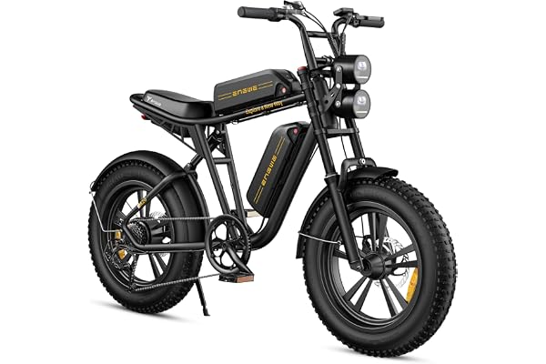 ENGWE E Bike Hommes Vélo électrique-Ebike avec Une Batterie/ 2 Batteries, E-Bike 20 * 4.0 Pouces Pneus Gras, Ebike Hommes jusqu'à 75km/150km/90km/170km, Vélo électrique 7 Vitesses, M20/M1
