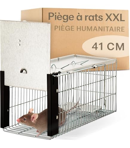 Piège à Souris Vivant Pliable XL - Cage En Acier Inoxydable, Capture Sans Cruauté, Réutilisable, Appâts Inclus - 7