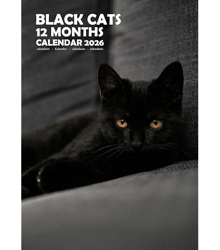 Calendario 2026 Da Parete Con Gatto Nero - Formato A4, Mensile, Con Festività E Spazio Per Appunti