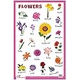 Flowers - Thick Laminated Primary Chart