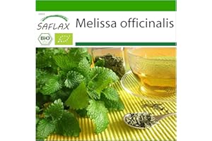 SAFLAX - Ecológico - Melisa - 1000 semillas - Melissa officinalis