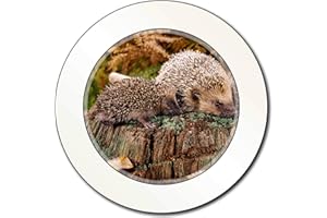 Advanta Group Mother and Baby Hedgehog Car or Van Permit Holder/Tax Disc Holder