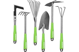 WORKPRO Outils de Jardinage 6 Pièces, Kit d'outils de Jardin en Acier Inoxydable avec Houe 2-en-1, Treulle, Râteaux, Couteau Désherbeur, Finition Martelée, pour Taille et Entretien, Cadeaux de Jardin