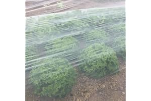 COITEK Garden Netting, Garden Netting Fine Mesh, Insect Netting for Garden Vegetables Plant Protection (2 m x 3 m)