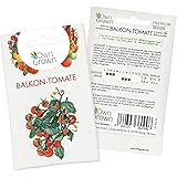Tomatensamen Cocktailtomate Balkonzauber: Premium Mini Tomaten Samen zum Anbau von Tomatenpflanzen, Topf Tomaten Samen Balkon
