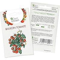 Tomatensamen Cocktailtomate Balkonzauber: Premium Mini Tomaten Samen zum Anbau von Tomatenpflanzen, Topf Tomaten Samen…