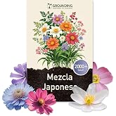Grounding &ndash; Mix Japanese Florid Meadow, 2000+ Seeds, 30 cm | Flowers of maximum 30 cm for beds and borders, attract bees and