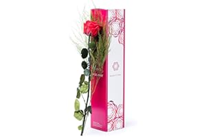 Rosen-Te-Amo Haltbare ewige Blume mit konserviertem Bindegrün und Grußkarte zum Herunterladen; Infinity Rosen - Deko und Geschenk in neue verstärkte Verpackung