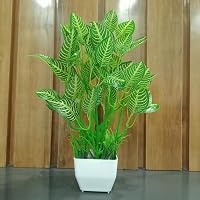 Buy DECOGREEN MMP G Ship Pot, Home, Office Cherry Plant Living ...
