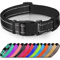 Pettorina Cinquetorri Per Cani Piccoli E Medi - Morbida, Traspirante, Turchese Taglia 1 - Foto 6