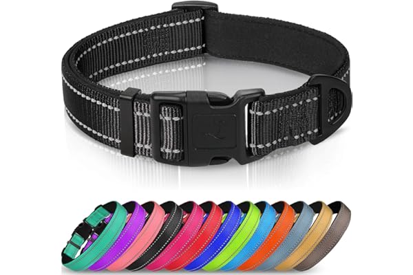 Joytale Collier pour Chien en Nylon avec Bande Réfléchissante,Collier Rembourré Classique pour Grande Chien,Noir,L