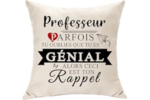 Hasodeo Original Cadeau Professeur Décoratifs avec Appreciate et Inspirantes Cadeaux pour Femme Maîtresse Éducateur Prof Cadeaux d'Appréciation Rappel Cadeau Housse de Coussins (Professeur)