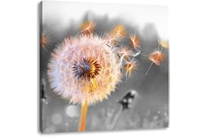 Pixxprint Nahaufnahme Pusteblume Sonnenuntergang B&W Detail, Größe: 70x70 cm, Leinwandbild Quadratisch, Wandbild, Kunstdruck, fertig bespannt