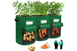 Airminti Lot de 3 sacs de plantation de pommes de terre de 10 litres avec poignées stables et rabat visuel, pots en non-tissé épais et respirants avec gants de jardinage pour tomates, pommes de terre