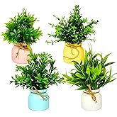 Dekorly Artificial Pot Flowers Small Fake Plants with Pot Mini Potted Plants for House Office Tabletop Decoration Indoor (Pac
