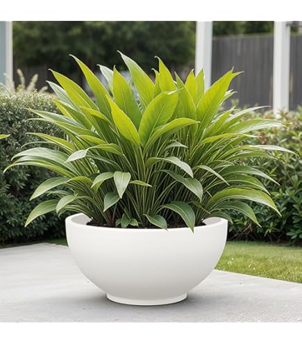 RSP HOME DECOR Tokyo Pots for Plants (24 inches Height)| Highly