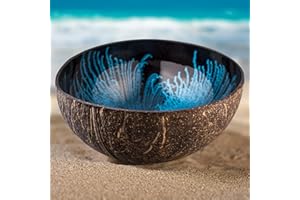 Kaloogo Cocobowl Splash Kokosnuss Deko Schale (blau, organisch)