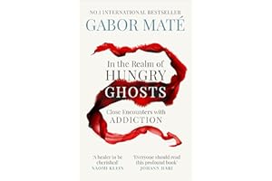 In the Realm of Hungry Ghosts: Close Encounters with Addiction (Vermilion)