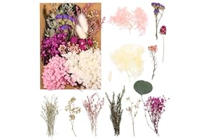 Bestomrogh Natürliche Getrocknete Blumen,Trockenblumen zum Basteln,Blumen Natürliche Gemischte,DIY Getrocknete Blumen für Kunst Basteln DIY Harz Scrapbooking Handwerk Karten Machen