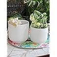Niyara White line Design Stylish Large Ceramic Pots Combo Planters for Indoor Plants,Outdoor,Balcony,Home,Garden,Office Size -8 inches & 6 Inches (Fairy White Set of 2) (Imported Ceramic Pot)