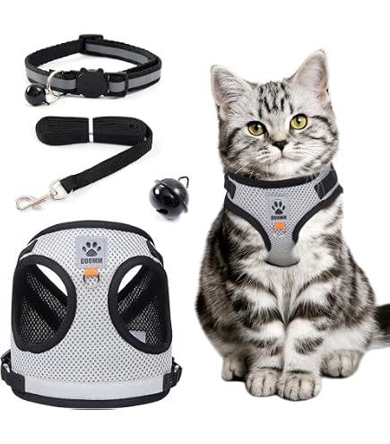 Guinzaglio Regolabile Con Imbracatura Per Cani E Gatti – Design Con Ali, In Poliestere Morbido. Taglie XS, S, M. Ideale Per Passeggiate, Sicuro E Comodo.