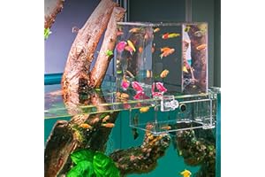 higyee Acuario sobre El Agua - Peces para Acuario al Vacío Invertido | Acuario Invertido Acrílico Acuario al Vacío Acrílico, Haz Que tu pez vuele por Encima del Agua