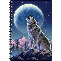 Carnet A5 - Vous êtes Ici De Deluxebase. Carnet Espace 3D