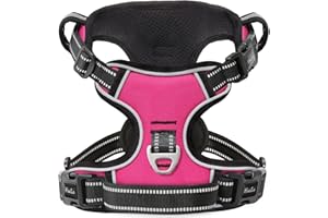 HEELE Pettorina Cane, Imbracatura Sganciata Rapido dal Collo, Pettorina Anti-tiro Riflettente e Regolabile con Maniglia Comoda, Morbida e Imbottita per Cani Piccola Media Grande, Fucsia M