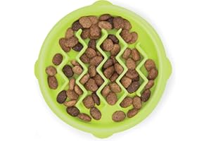 CATSTAGES Petstages Gamelle Anti-glouton Kitty Slow Feeder - pour Chat - Vert