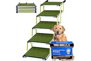 Escalier pour Chien Petit ou Grand PRIORPET - Marquage Phosphorescent - Surface antidérapante Herbe - Rampe Pliable pour Voiture idéale pour articulations - Convient à Toutes Les Voitures - 5 marches