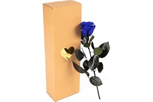 ROSEMARIE SCHULZ HEIDELBERG Rosa eterna blu – lunga 3 anni di rose vere conservate con manico lungo 30 – 35 cm in scatola – infinite rose durevoli per regali da donna con occhi blu e per vaso di fiori blu (blu)