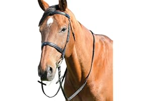Kincade Classic Plain Raised Cavesson Bridle with Reins, Black, Warmblood