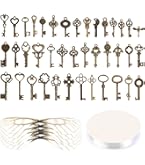 SANNIX Lot De 50 Clés Squelettes Vintage Avec 50 Paires D'ailes De