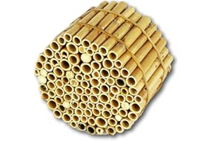BeeCasa by Hiss Reet® Extra Reed Stalks, Natural Bundle, Insect Hotel & Bee Hotel Filling Material, Nesting Tubes and Nesting Sleeves for Wild Bees