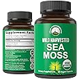 Organic Sea Moss Capsules. Wild Harvested Sea Moss Raw Organic Vegan Supplement from Red Algae Seaweed. 100% Whole Extract Raw Irish SeaMoss Superfood Pills. for Gut, Respiratory, Immune Support.