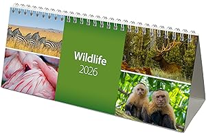 GILT EDGED 2026 World Wild Life Desk Calendar (CL08)