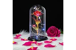 TECHSHARE Mothers Day Rose Gifts for Mum, Beauty and The Beast Rose, Glass Rose Flower is a Unique Gifts for Girlfriend, Mom, Women, Wife on Valentines Day, Mothers Day, Christmas, Birthday, Anniversaries, etc