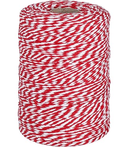 Aiguille à Brider Fischer 25 Cm – Avec Pelote De Ficelle Incluse | Pour Viandes Et Volailles