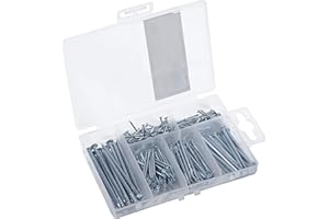 Connex Nagel-Sortiment 200-teilig - Diverse Größen - Versenkt - Vorsortiert in praktischer Kunststoffbox - Geeignet für Haus, Hobby & Werkstatt / Sortimentskasten / Sortimentsbox / DP8500101