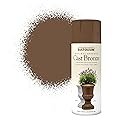 Rust-Oleum 400ml Natural Effects Spray Paint - Cast Bronze