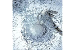 Gouwgenr Trasparente Pellicola per Vetri Finestre di Sicurezza Autoadesiva 60x300cm Pellicola Protettiva per Finestra Esplosione Della Protezione Per Soggiorno Camere da Letto