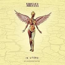 In Utero (20th Anniversary Limited Deluxe Edition): Amazon.de