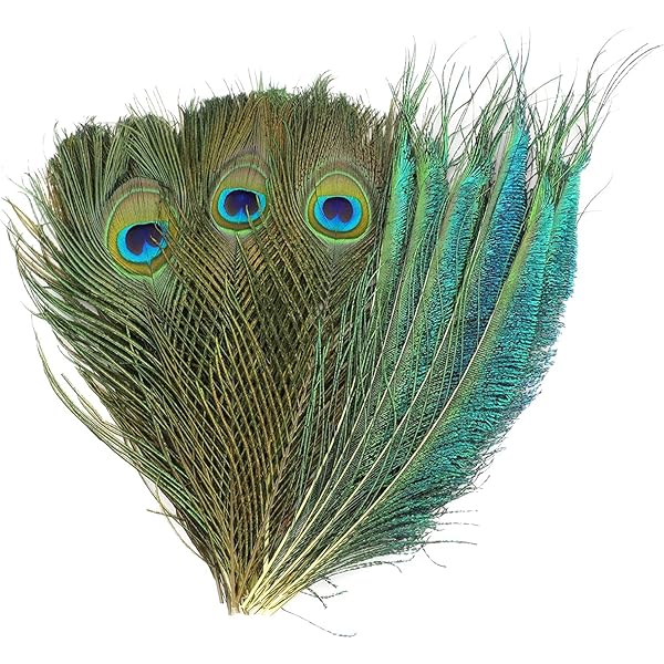 50 Piume Naturali Per Artigianato - Fagiano, Pavone O Struzzo Per Decorazioni E Costumi - Foto 2