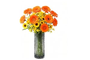 UWENKJIE Vase, thickened glass vase, high footed glass vase, suitable for various scene decorations (24.5X9.5) Smoke gray