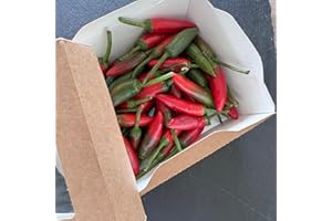 Peperoncino Piccante Fresco Calabrese – 100% Italiano – Raccolto a Mano per Massimo Aroma e Piccantezza – Specialità Tipica della Calabria – Val D'Esaro - 200g