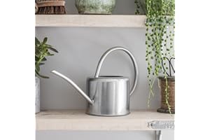 CKB LTD® Arrosoir d’intérieur en acier galvanisé de 1,9 L pour plantes d’intérieur, design contemporain en métal avec bec étroit et poignée haute (argent)